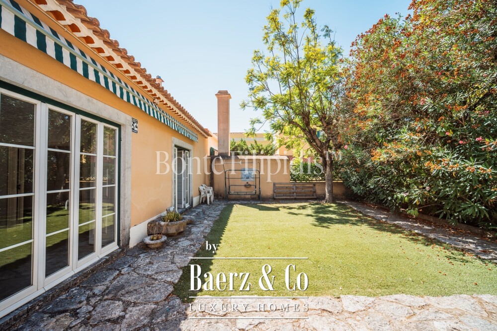 Foto 11 1000w